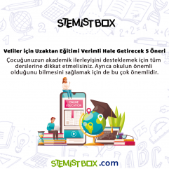 Stemist Box Online Egitim
